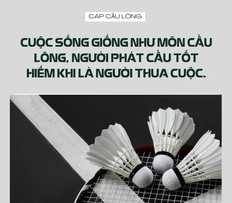 những cau noi hay